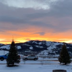 Meet your Posher, Bailey